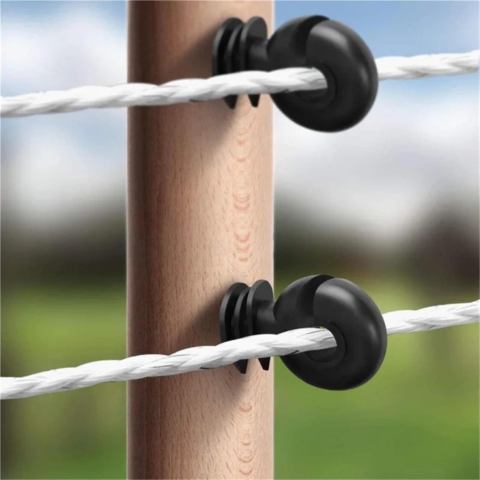 50 pezzi di isolatori for recinzioni elettriche a traliccio for giardino domestico for collegamenti cavi resistenti e sicuri, isolatore nero in acciaio al carbonio per Corde, Fili e Trefoli