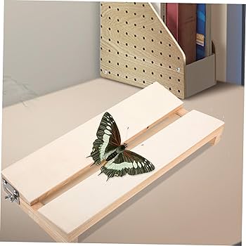 Butterfly Moth Spreading Board With Grid Sticker Taxidermy Entomology