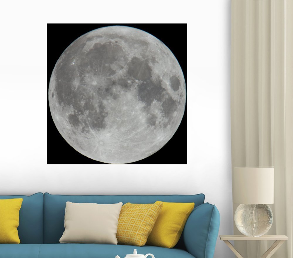 Amazon.com: Wallmonkeys Photo of Moon Lunar Surface Wall