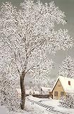 Format: ca. 17x11,5 cm Adventskalenderkarten 5 Karten Nostalgie Grußkarten Goldprägung Kunstkarte Weihnachtskarte Adventskalender Frohe Weihnachten Weihnachtsmann Winter