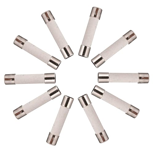 BOJACK 30AL250V 6x30mm 30A 250V Slow-Blow Ceramic Fuses 30 amp 250 Volt 0.24 x 1.18 Inch Ceramic Tube Time-delay Fuses(Pack of 20 Pcs)