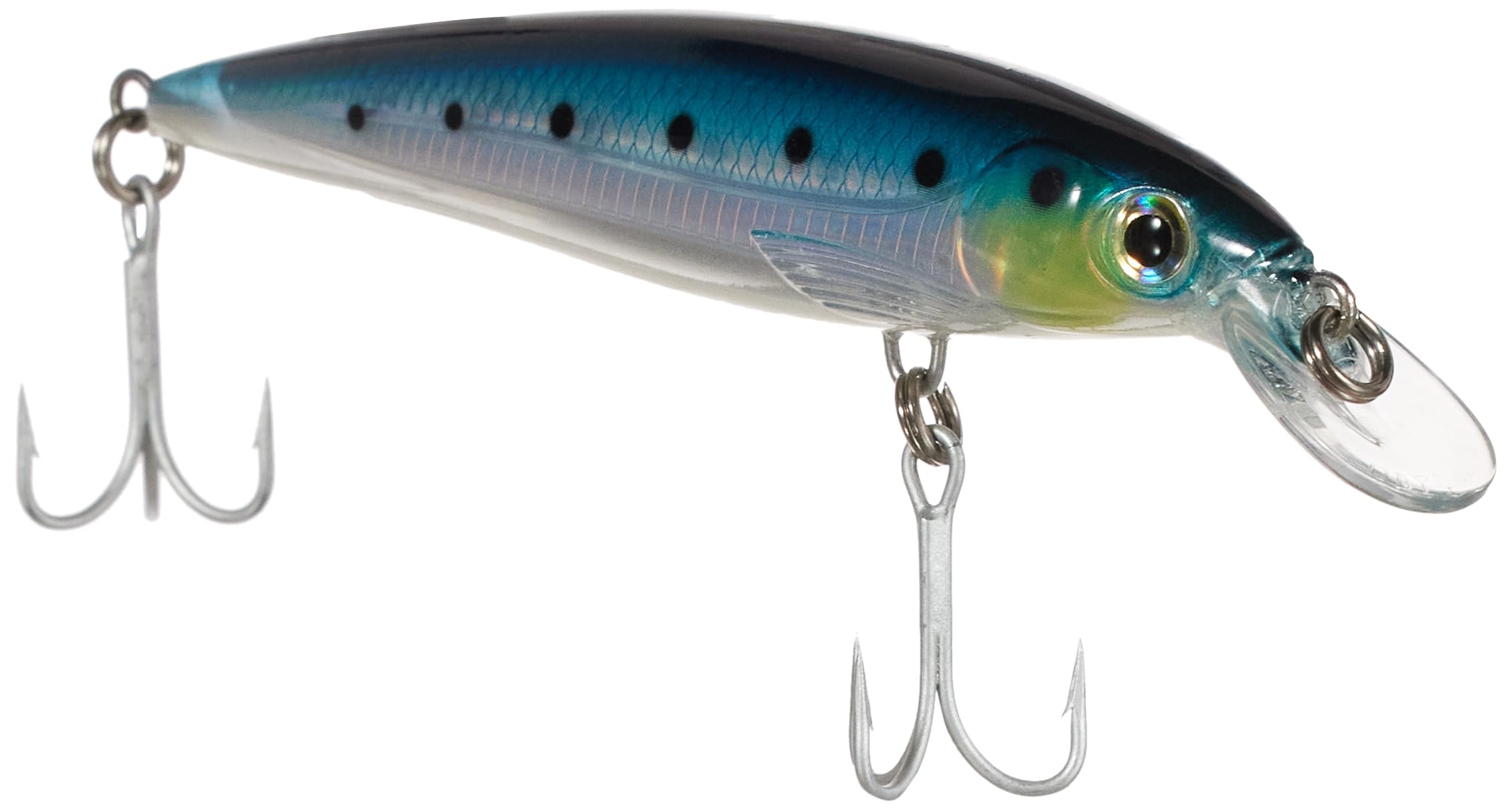 Amazon.co.jp: Rapala(ラパラ) ミノー ソルトウォーター Xラップ 12cm