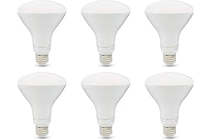 Amazon Basics BR30 Dimmable LED Light Bulbs 6-Pack (65W Equivalent), BAY15D Base,...