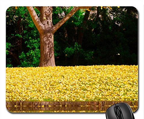 Preisvergleich Produktbild ginko reflection Mouse Pad, Mousepad