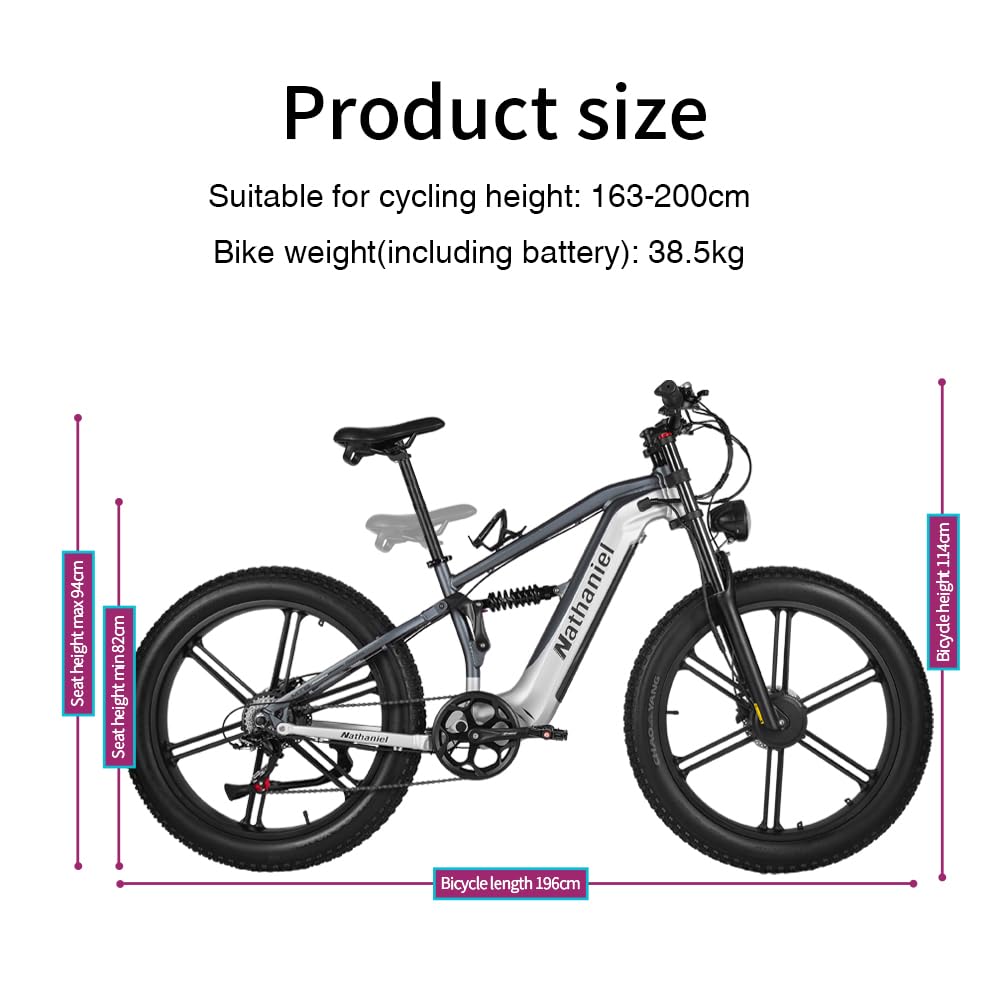 Nathaniel SYR09 Adult Electric Bike, Dual Motor,26 * 4.0Fat Tires,48V20Ah, All Terrain Off-Road E-Bike