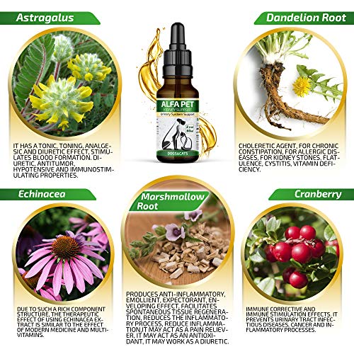 Alfa Pet Kidney Support For Dogs And Cat - Canine Urinary Tract Care W/Cranberry - Made In Usa Dog Kidney Support - Cat Bladder Essentials (2 Oz) #TOP1