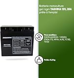 TASHIMA - Batterie 12V 20AH NH1220 Motoculture - Technologie Plomb Étanche Gel Sans Acide - Borne + À Droite - Pour Moteurs Thermiques Type Tracteur, Tondeuse À Gazon Autoportée & Motoculteur - 5