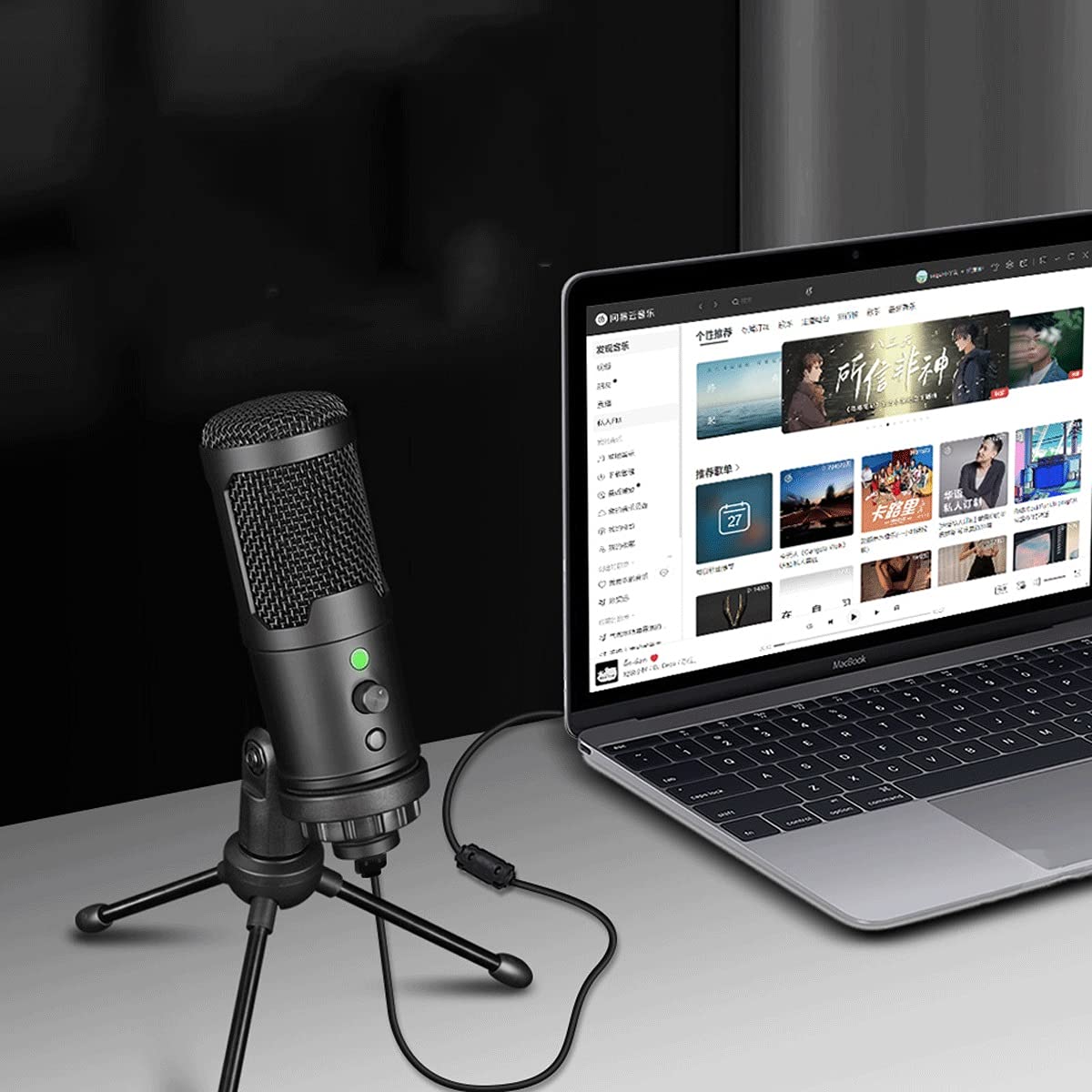 Amazon.co.jp: プロフェッショナル USB マイク コンデンサー マイク