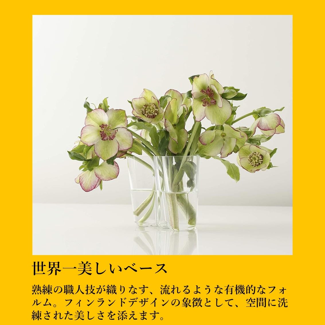 Amazon.co.jp: イッタラ (iittala) アルヴァ・アアルト コレクション