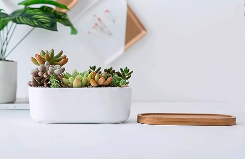 Miniatura 6 de Lindas macetas ovaladas de cerámica con bandeja de bambú, plantas no incluidas (1)