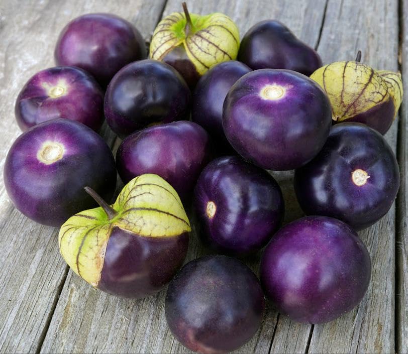 SeedsUP - 150+ Seeds Purple Ground Cherry - Physalis - Vegetable Purple