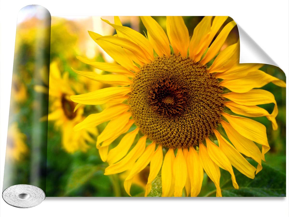 Stickers Muraux Tournesols Jaunes : Sublimez Votre Maison en Un Clin d'Œil
