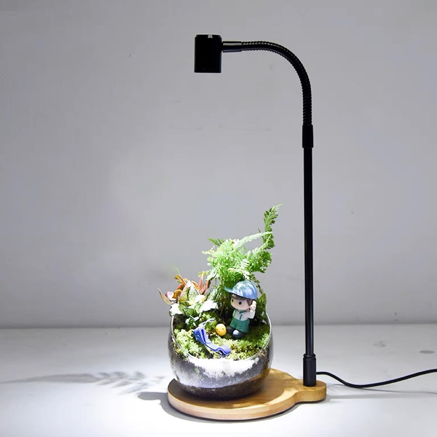 ライト付き 水槽 USB電源 アクアリウム USB接続 デスクトップ型水槽 アクアリウム LEDライト ペン立て