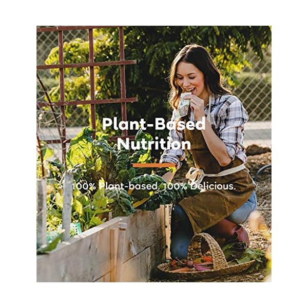 GoMacro Macrobar Organic Vegan Protein Bars - Blueberry + Cashew Butter (2.3 Ounce Bars (Pack of 12)