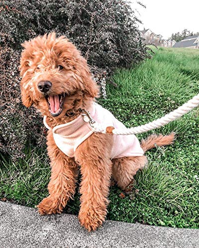 Image of Gooby Fleece Vest Dog Sweater, Turquoise, X-Small | Soft warm fleece; Pullover, easy on /off (no zippers); O-ring leash attachment; Machine washable
