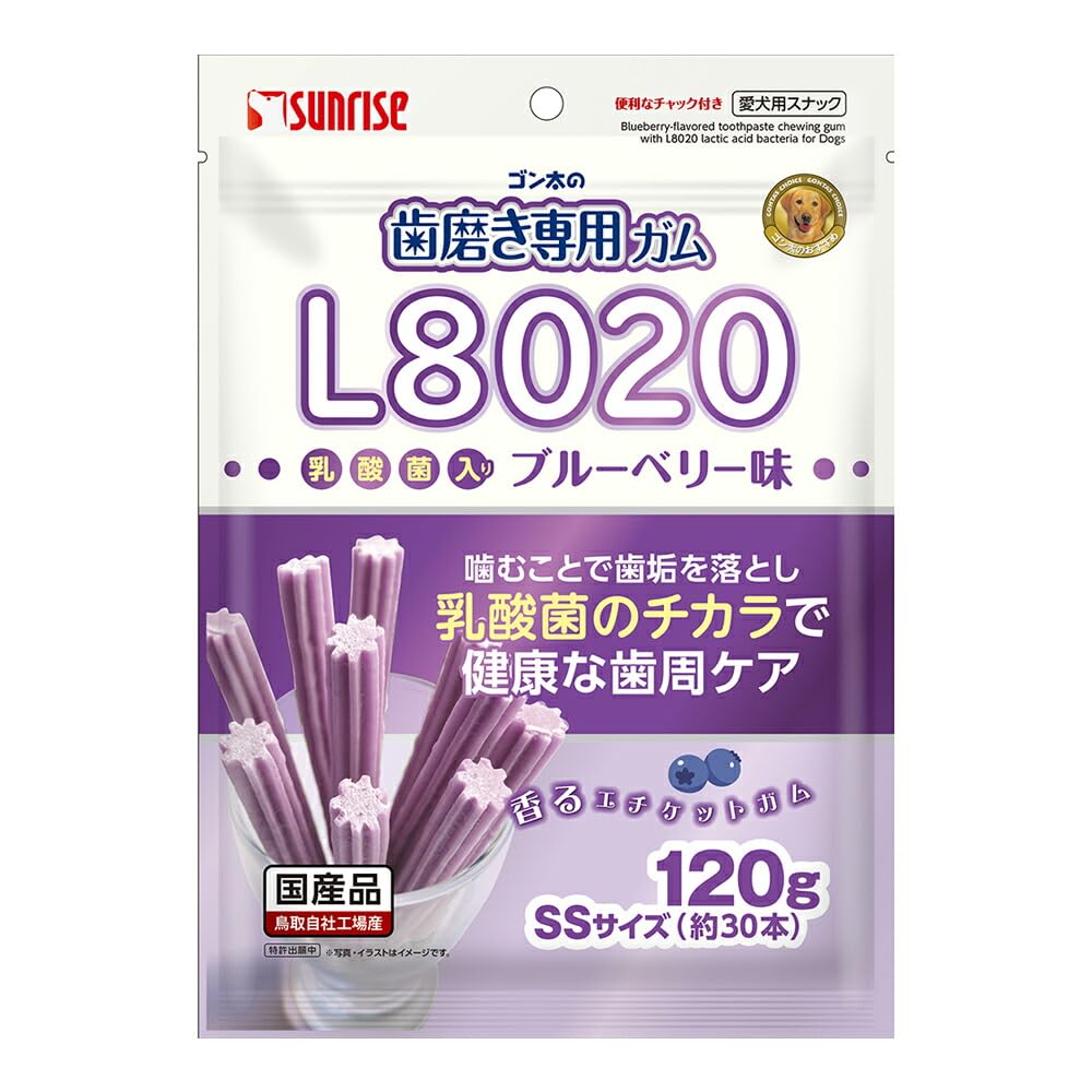 ゴン太の歯磨き専用ガムSSサイズ L8020乳酸菌入り ブルーベリー味 120g