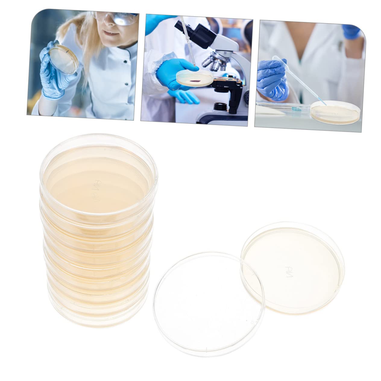 20 Pièces Boîtes De Pétri Pré-Coulées Avec Agar Pour Expérimentation Scientifique Stem 2.76X2.76X0.79In Plaques De Gélose Nutritive Pour École Et Laboratoire