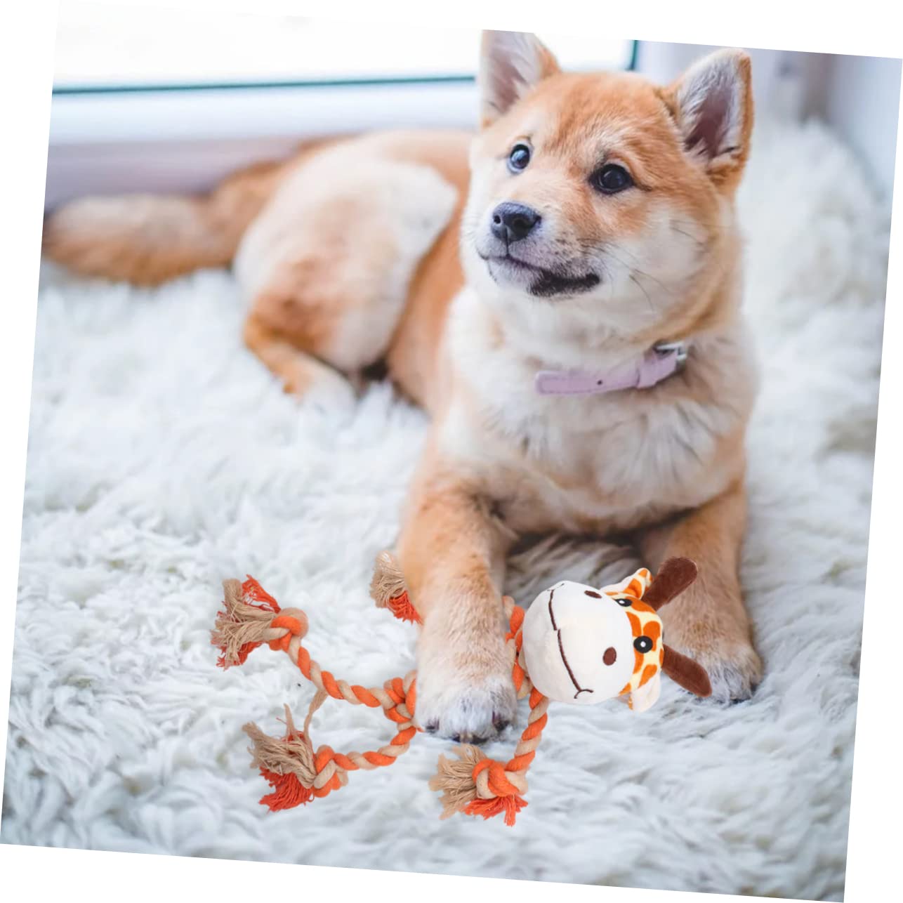 ifundom Educational Pet Cotton Rope Toy Dog Chewing Playing Toy Plush Animal for Pet Dent Cleaning