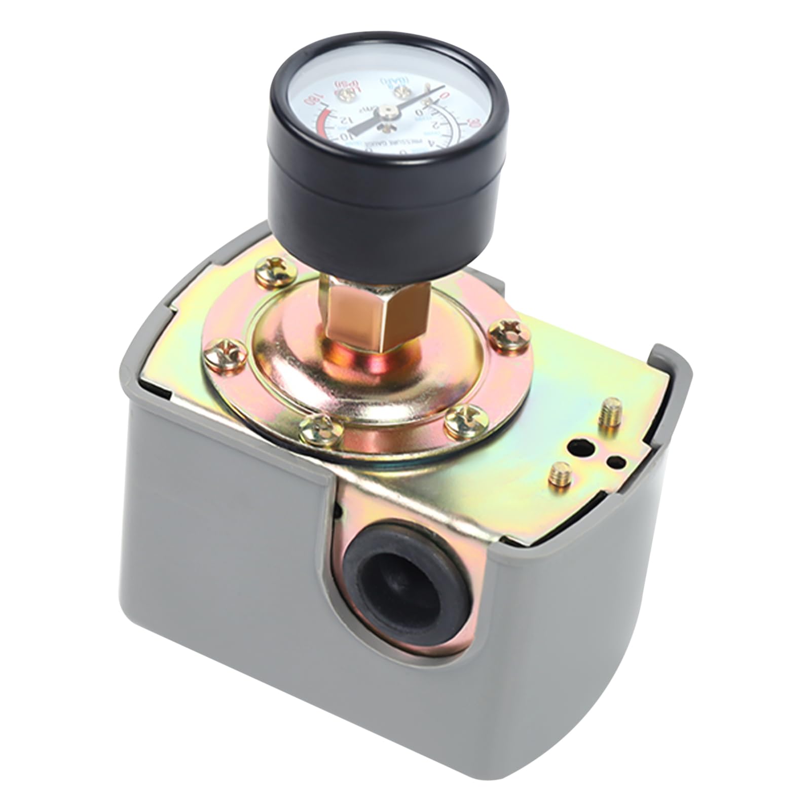 Pompe centrifuge de jardin 1300 W - En acier inoxydable - Avec manomètre - Interrupteur de pression - Disjoncteur de protection du moteur - Pompe centrifuge à 5 niveaux - Pression maximale : 9,8 bar -