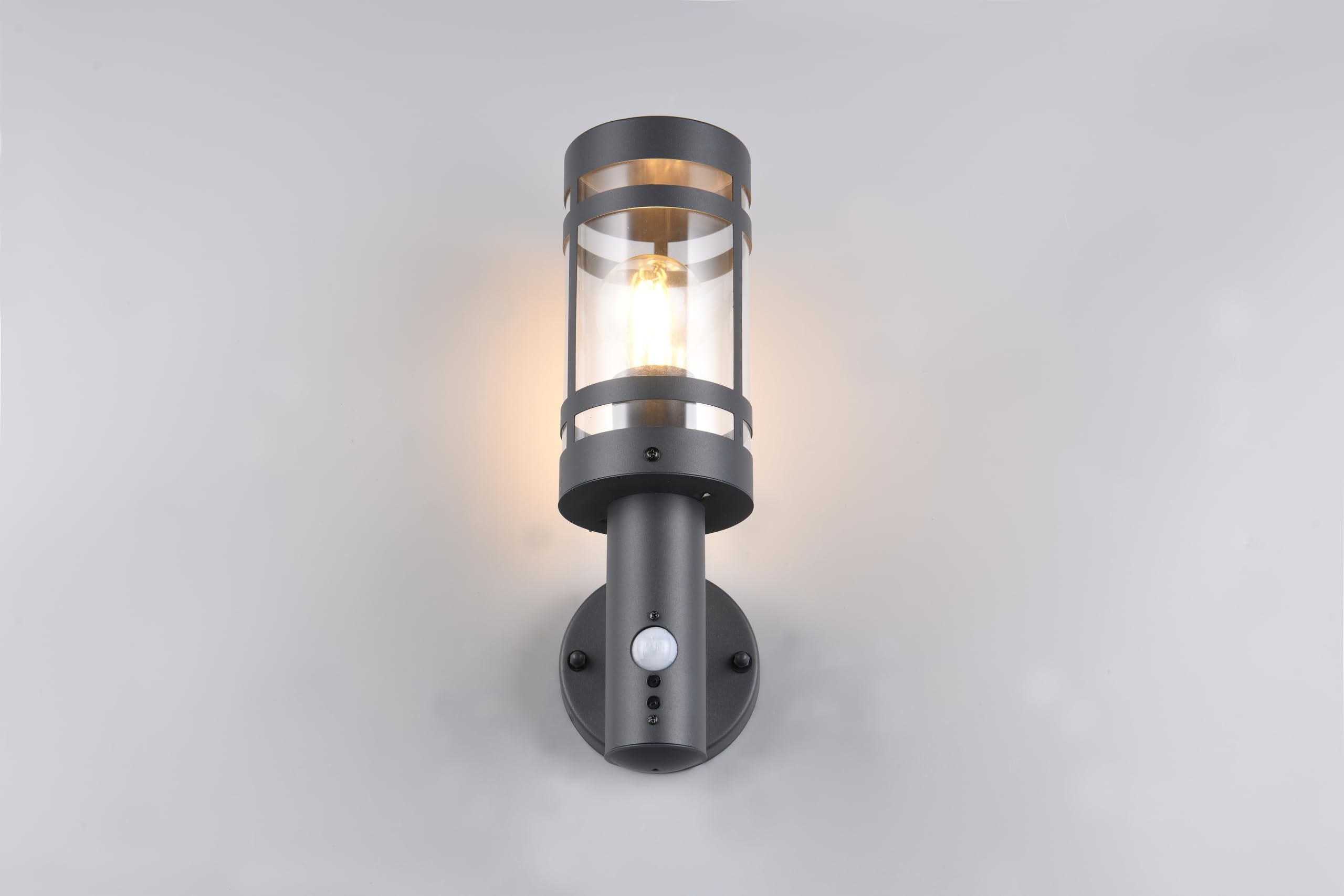 Reality Leuchten Paloma R21719142 - Lampada da parete per esterni, in metallo antracite, paralume in plastica trasparente, 1 x E27, sensore di movimento