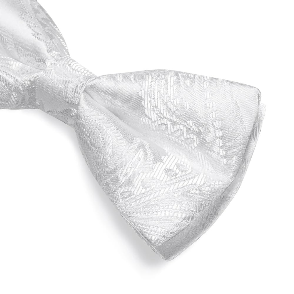 Pajarita con Joya para Boda, para Hombre, con Nudo para Negocios, Juego de pañuelo (Gris Claro)