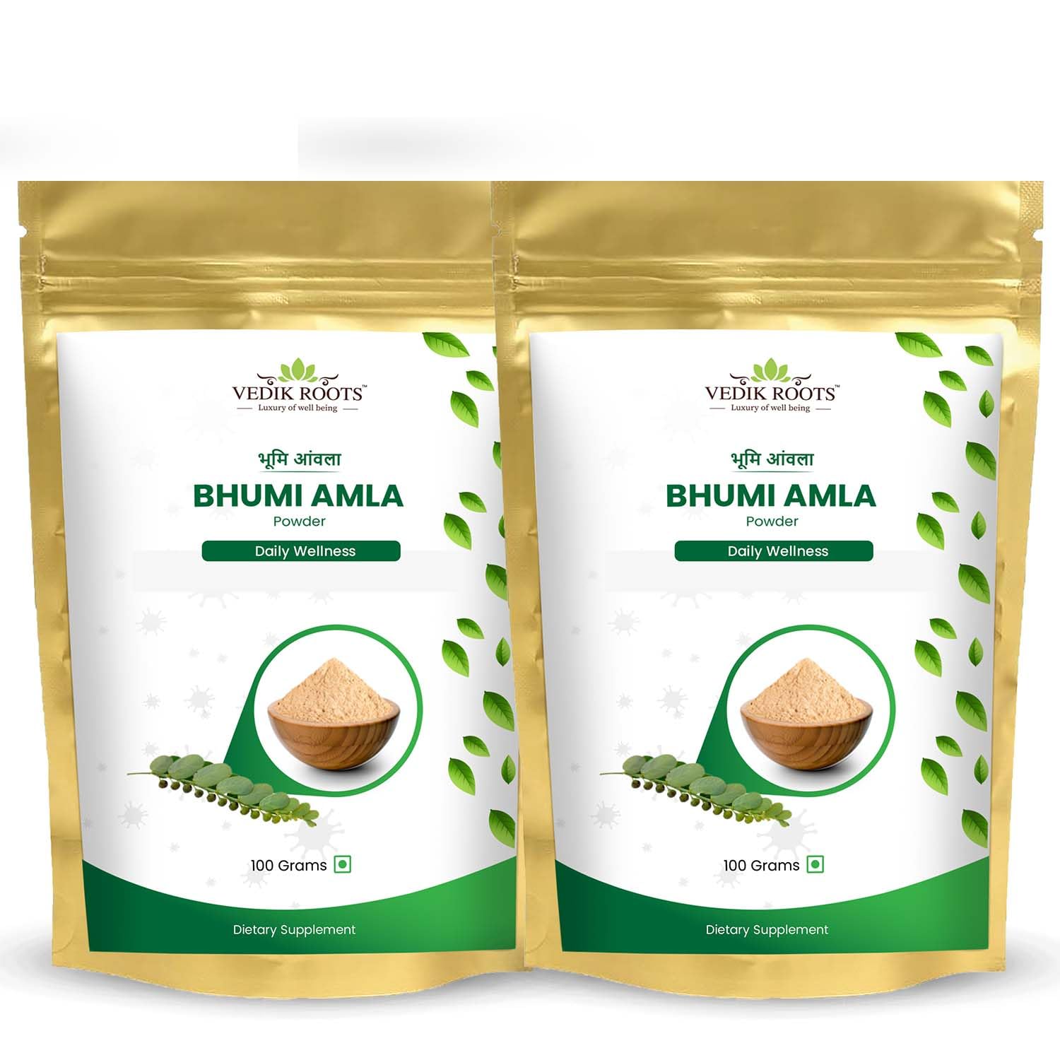 Organic Bhumi Amla Powder - Rich in Antioxidant Vitamin C - Supports Healthy Immune Function 100 Gm (Pack of 2)