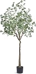 Arbre d'Olivier Artificiel VEVOR 6FT avec Pot Noir, Grand Arbre Fausse avec Tronc en Bois Naturel & Feuilles et Fruits Vrais, Plante Fausse Intérieure pour Maison, Bureau, Salon, Décor d'Angle