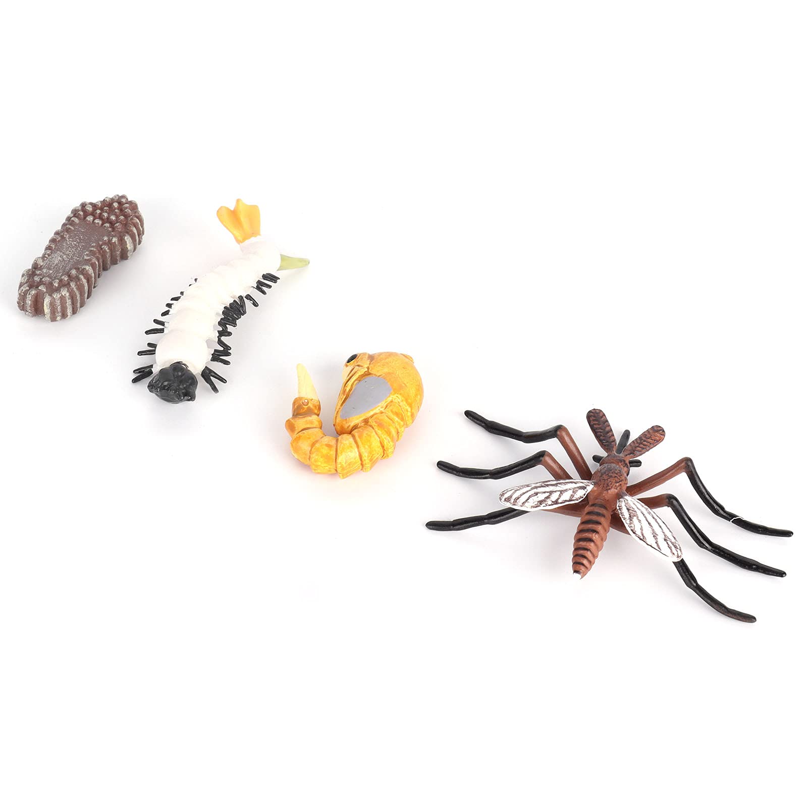 Insekten-Lebenszyklus-Figuren, Pädagogisches -Moskito-Ameisen-Wachstumsmodell, Spielzeug für, Schulprojekte, 4 Stück (M4184 Mücke (31,6 g))