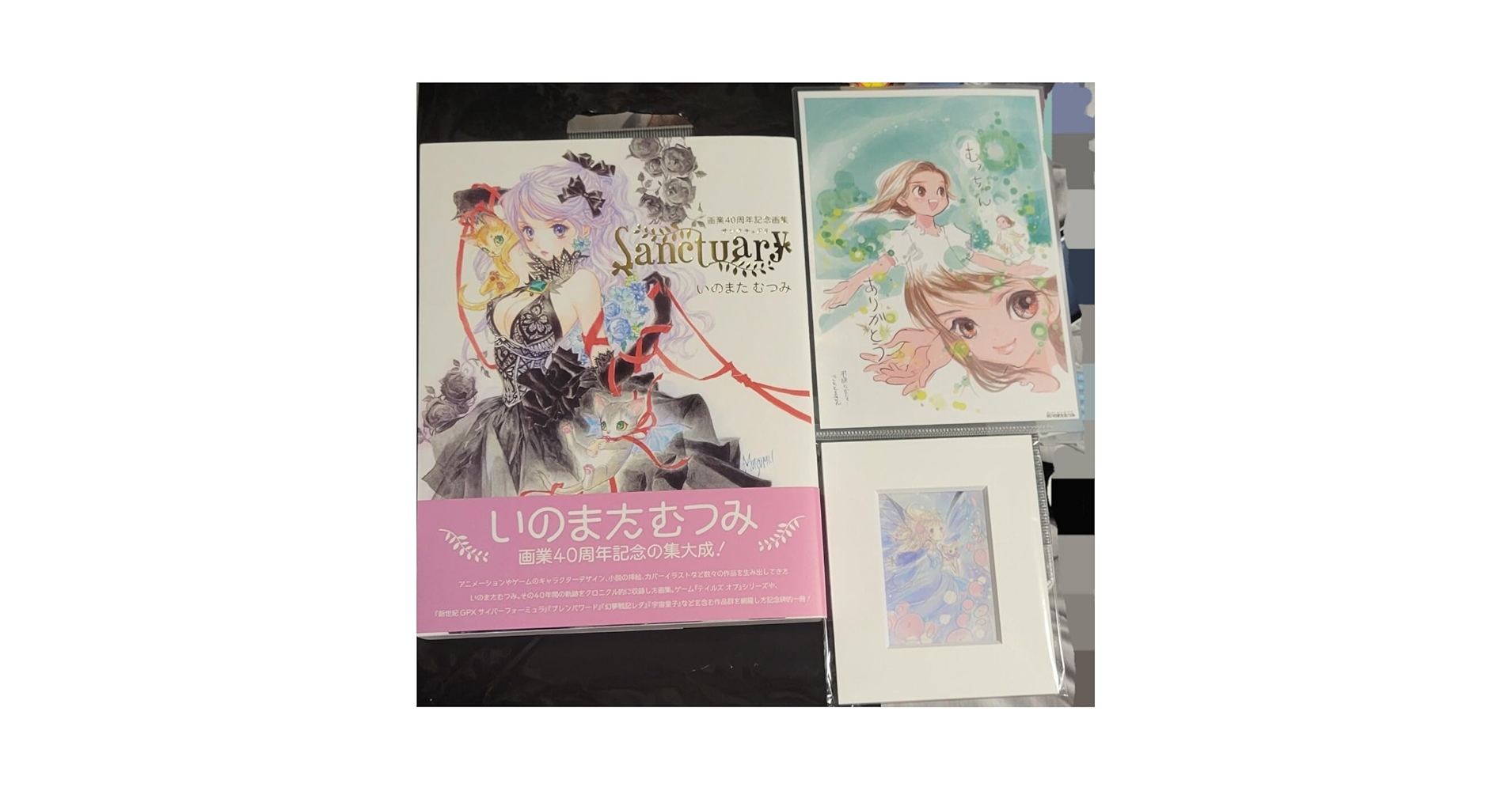 Ｓａｎｃｔｕａｒｙ　いのまたむつみ画業４０周年記念画集　グラフライト credit.jpg
