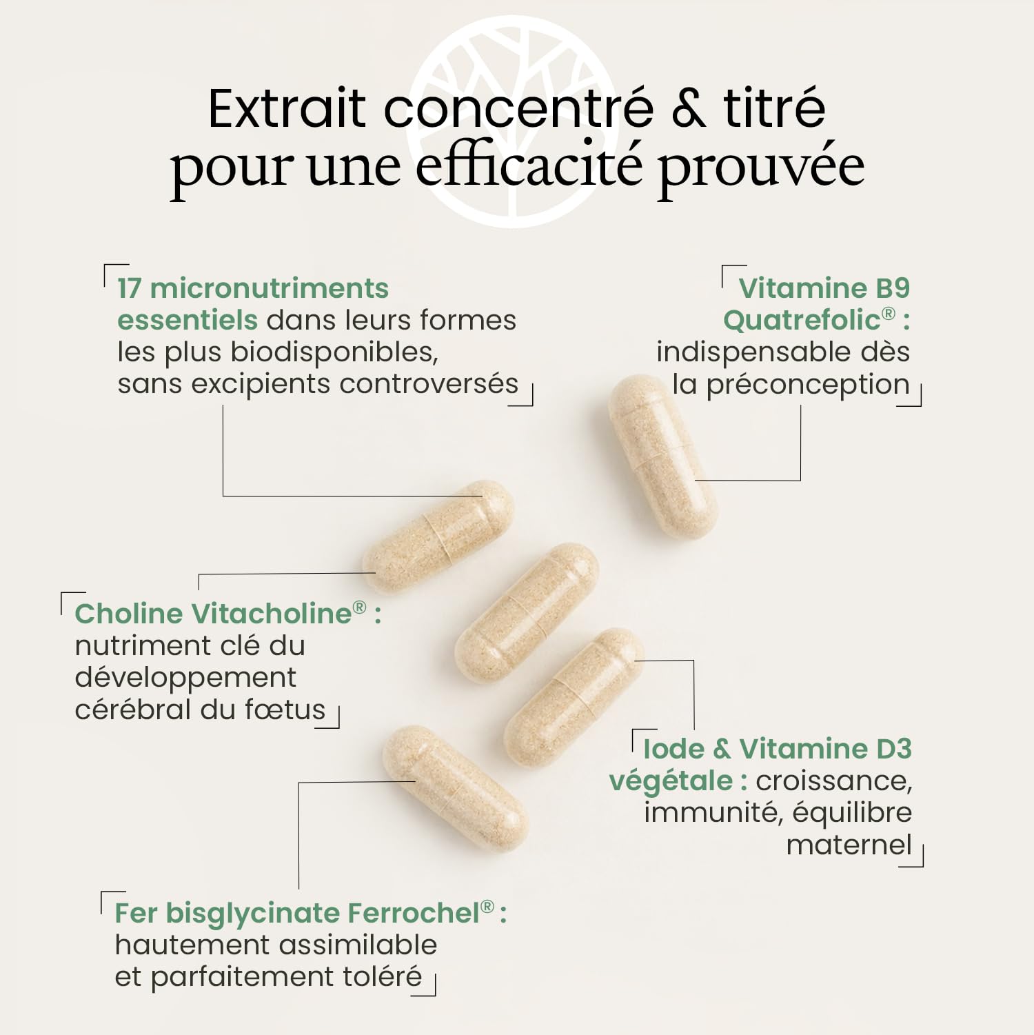 PRÉ-CONCEPTION ET GROSSESSE | Formule Complète avec Acide Folique Quatrefolic® + Choline Vitacholine™ + Vitamines et Minéraux | 90 Gélules | Made in France | Terravita