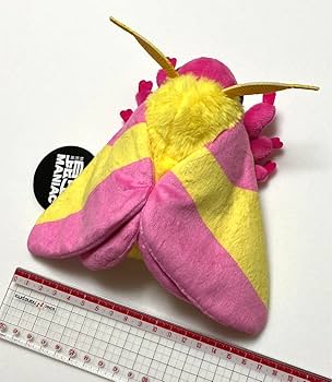 61f1Jp9fdhL._AC_UF350, 61f1Jp9fdhL._AC_UF350,