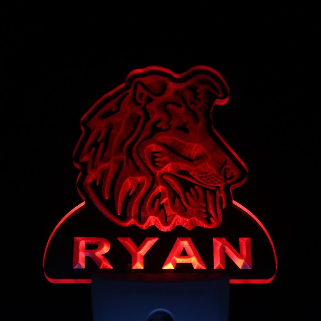 ADVPRO ws1090-tm Sheltie Dog Personalized Night Light Name Day/Night Sensor LED Sign