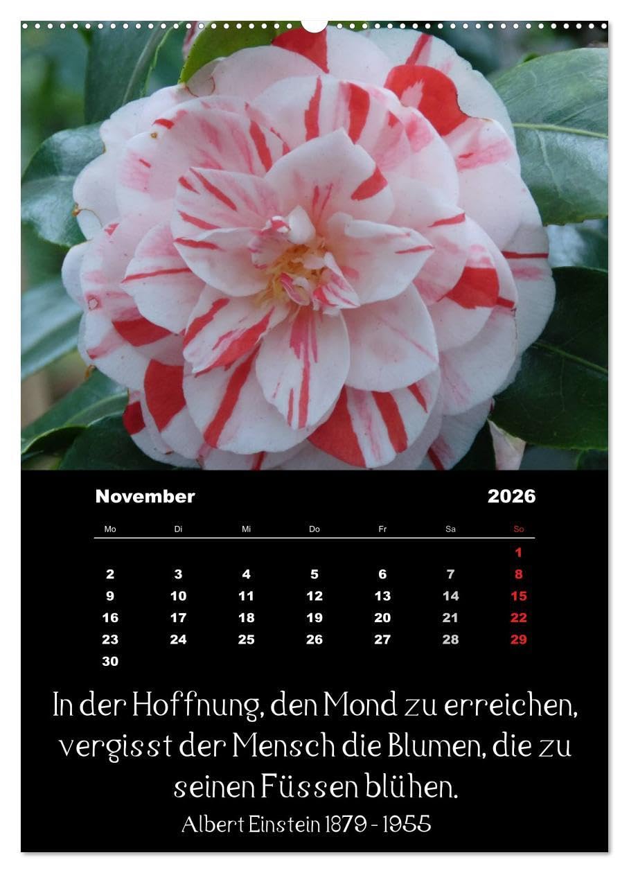 Sprüche und Zitate berühmter Personen über Blumen und Natur (hochwertiger Premium Wandkalender 2026 DIN A2 hoch), Kunstdruck in Hochglanz: ... Spruch unter jedem Bild (CALVENDO Natur)