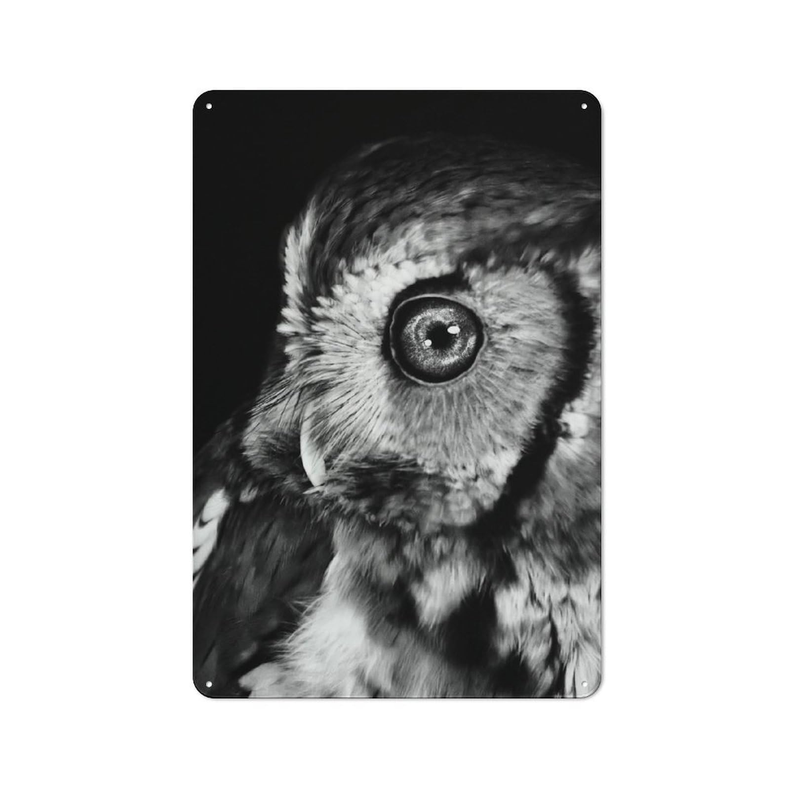 Metal Wall Sign with Owl with Galaxy Design 30x20cm, Modern Retro Urban Room Decor for Workspace, Cafe, Hallway Or Garage