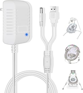 Ingenuity Baby Swing Charger - 2-in-1 Compact Portable Replacement Power Cord for Baby Rocker - Compatible With InLighten, Simple Comfort, ConvertMe, Swing\'n Go - USB A & DC Plug Adapter