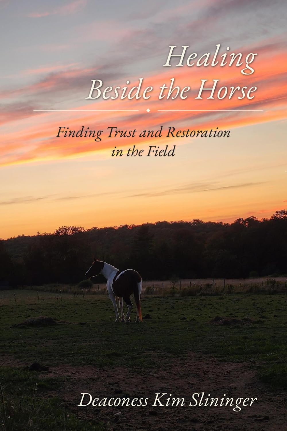 Healing Beside the Horse