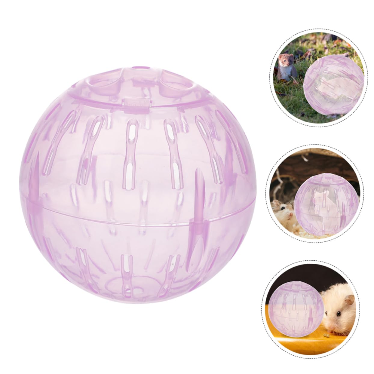 Garneck 3pcs Hamster Ball Car Dwarf Hamster Running Ball Small Pet Supplies Abs Material