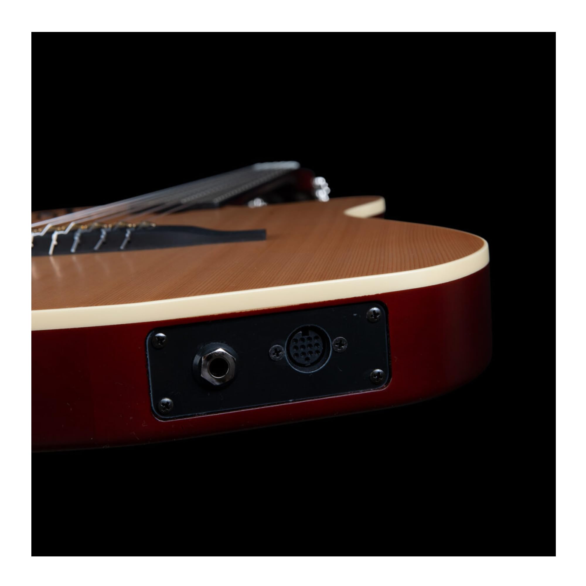 Amazon | GODIN (ゴダン) ナイロンギター エレガットギター ACS Nylon