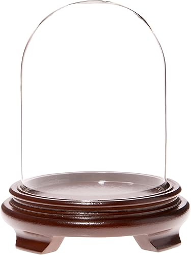 Plymor Cúpula de cristal de 4.5 x 6 pulgadas (base con patas de chapa de madera de nogal) disponible en Yaxa Guatemala