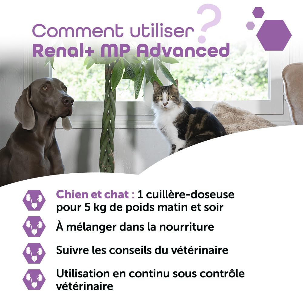 MP Labo Renal + MP Advanced 40 g - Santé Rénale pour Chien et Chat