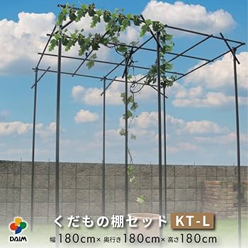 【はまゆう‼️】【美品❣️】くだもの棚セット 葡萄棚　藤棚　キウイ棚 Amazon | くだもの棚セット キウイ棚 ぶどう棚 頑丈 葡萄棚 園芸
