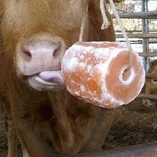 Himalayan Animal Salt Lick Pure Natural Pink Salt Block On A Rope For Horses