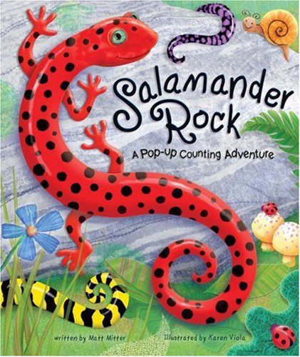 Salamander Rock: A Pop Up Counting Book