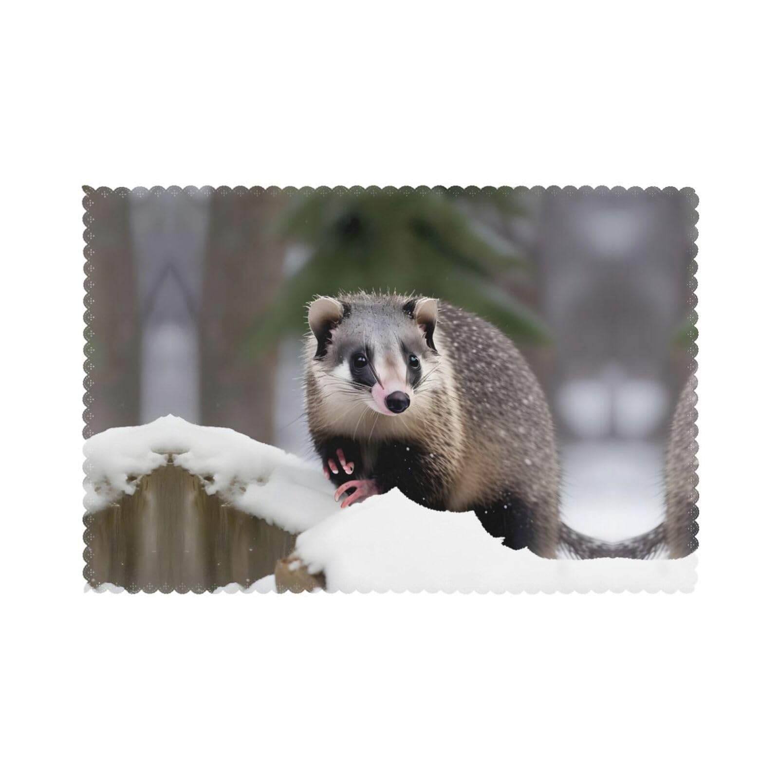 Opossum in Snow Print Christmas Placemats Set of 6,Washable Table Mats