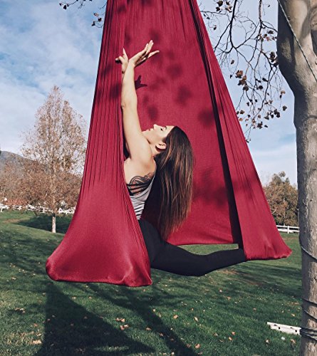Image of F.Life Aerial Silk Yoga Hammock & Swing for yoga Inversion,Strength training,starter hardware kit