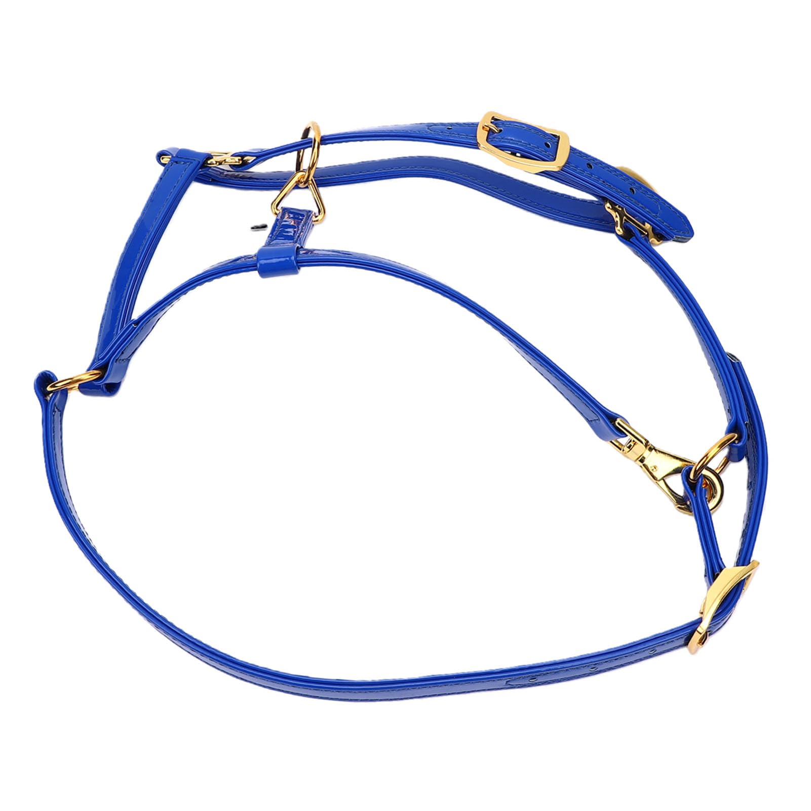 20mm Cavezza per Cavallo, Pelle Smaltata a Doppio Strato, | Finimenti per cavallo impermeabili, testiera facile da pulire, hardware placcato in oro per passeggiate su pista, cavezza