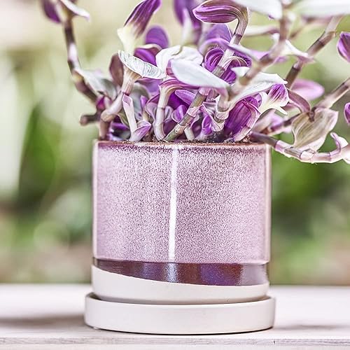 Miniatura 8 de CHIVE Macetas de cerámica para suculentas 'Minute', macetas de 5 pulgadas para cactus y flores de interior con drenaje y platillo desmontable, verde