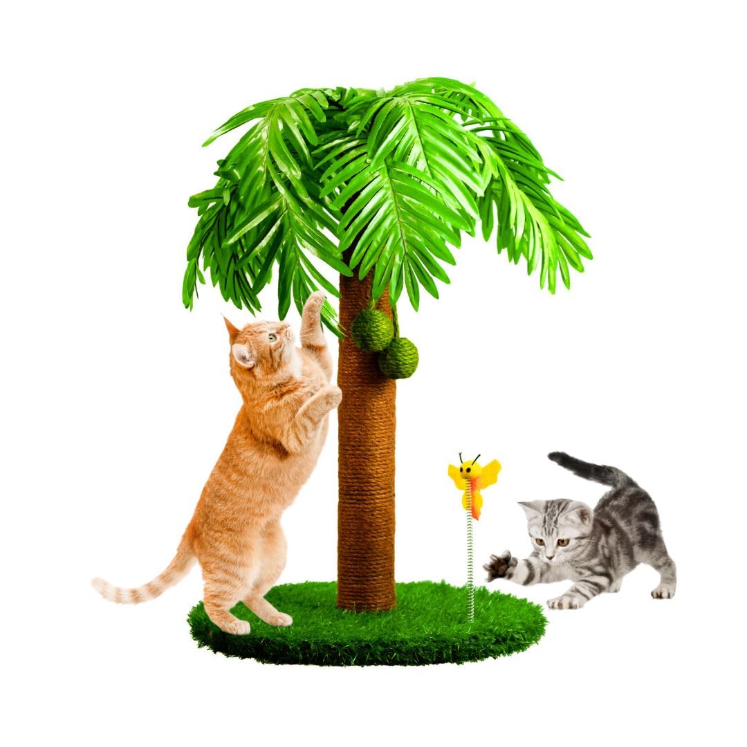 Tiragraffi per gatti 78 cm – Colonna tiragraffi per gatti con motivo palma e sfere oscillanti – Cat Scratching Post – Tiragraffi gatto corda in sisal naturale – Tiragraffi legno