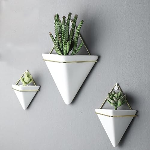 Plantas colgantes de interior, 3 piezas de jarrón de pared, contenedor geométrico para decoración de pared, soporte de cerámica para plantas de aire