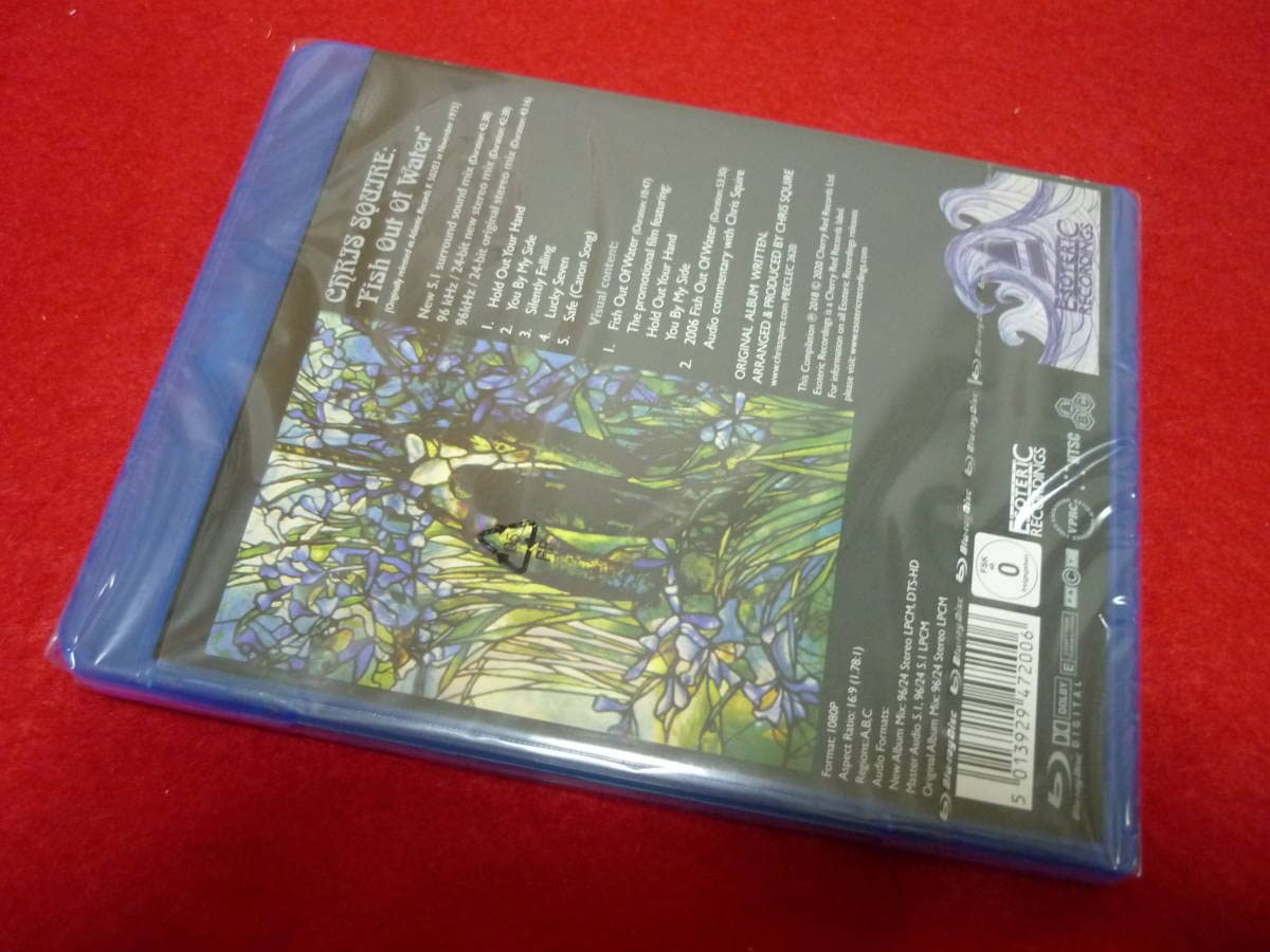 クリス・スクワイア 未知への飛翔 CHRIS SQUIRE/FISH OUT OF